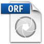 Olympus ORF File Icon